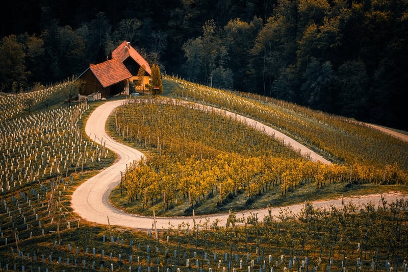 Time Travel Landscape